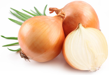 Лук репчатый